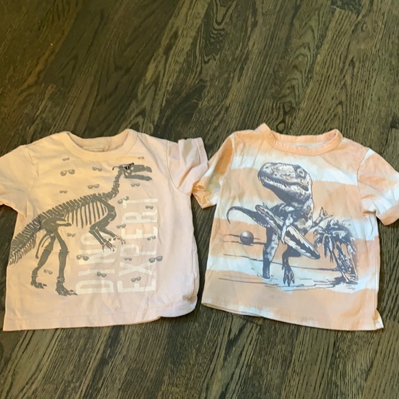 The children place Dino tees